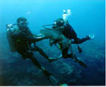 bio image 7